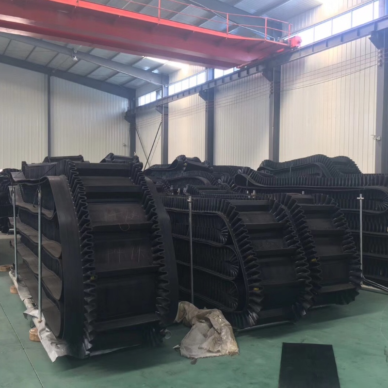 Băng tải Sidewall băng